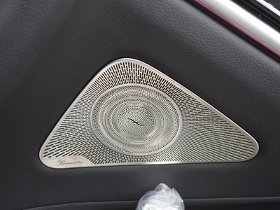 2021 Mercedes-BENZ S-CLASS 缩略图 20