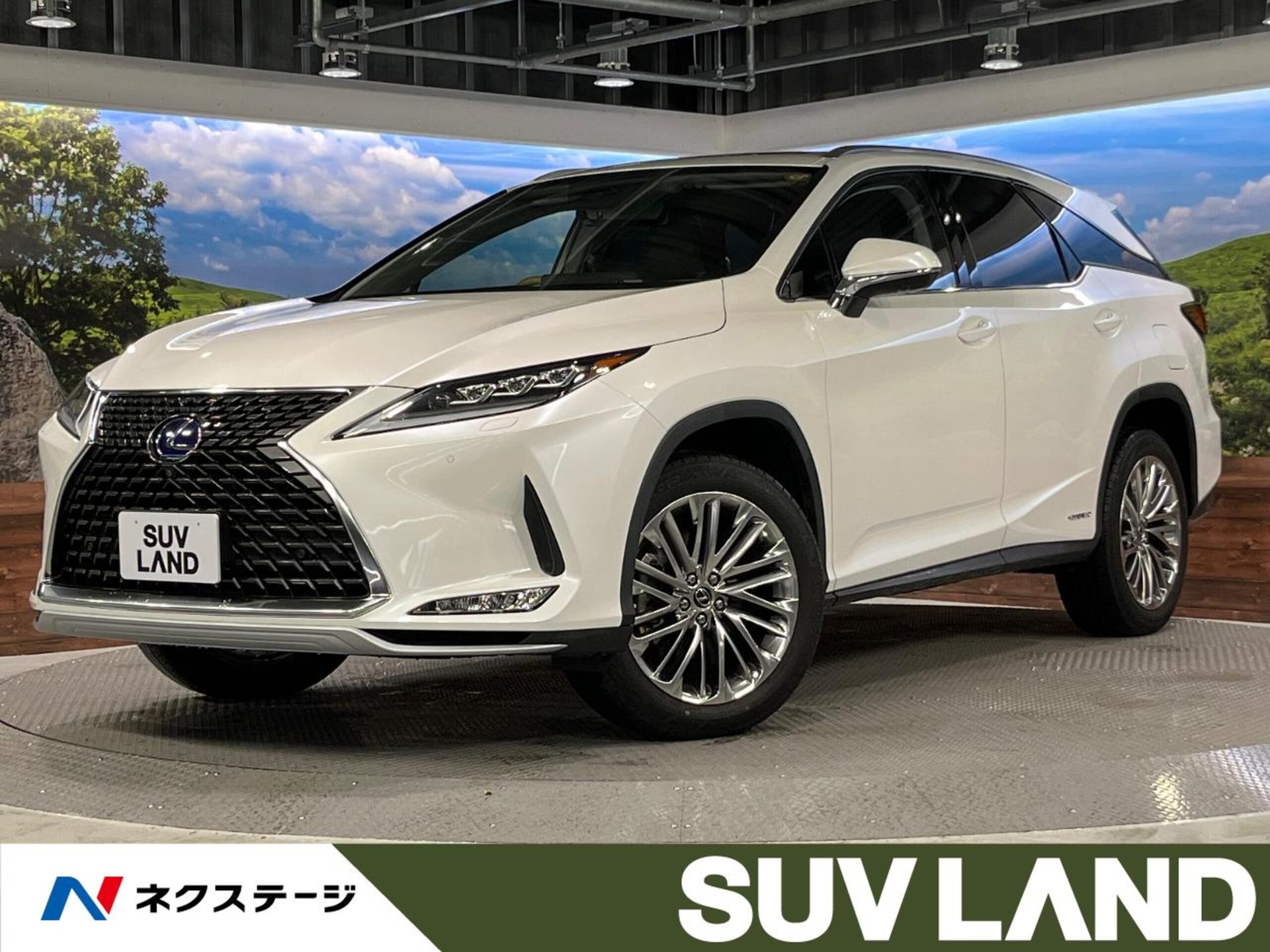 LEXUS RX - View 1