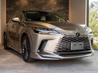LEXUS RX - 1