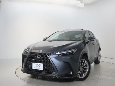 LEXUS NX - 8