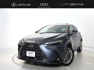 LEXUS NX - 1