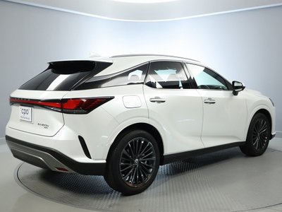 2023 Lexus RX — миниатюра 13