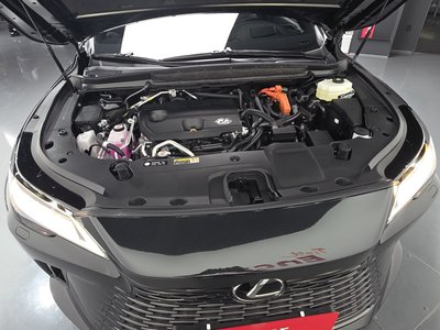 LEXUS RX - 7