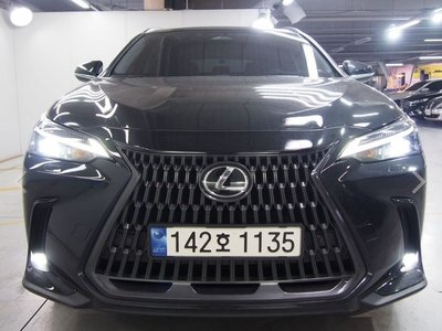 LEXUS NX - 1