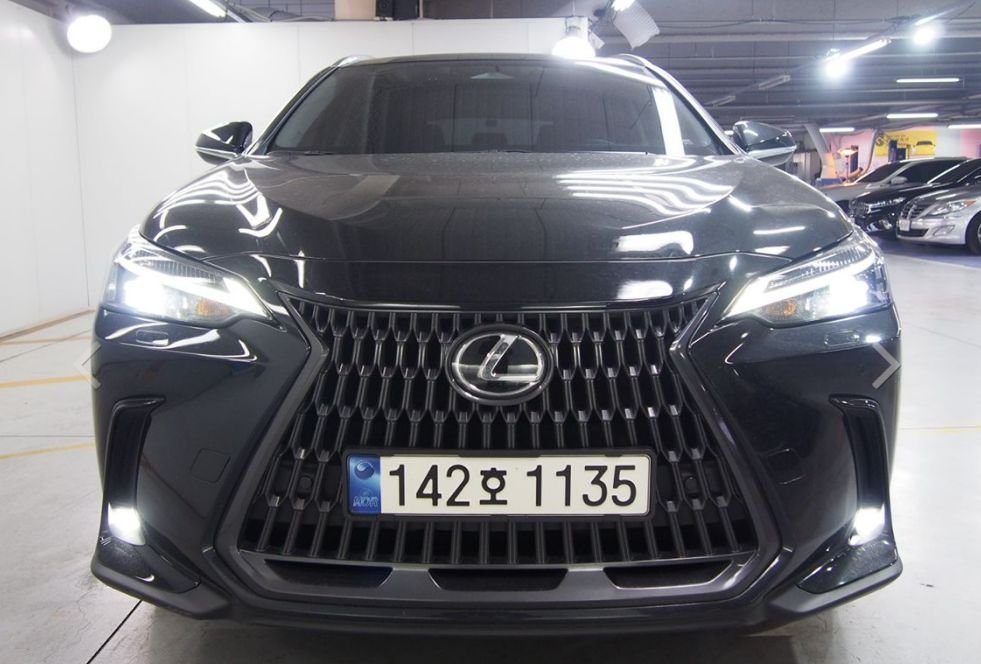 LEXUS NX - View 1