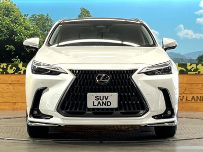صورة مصغرة 14 لـ 2024 Lexus NX