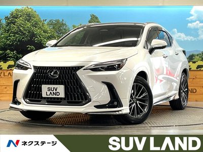 2024 Lexus NX 照片 1