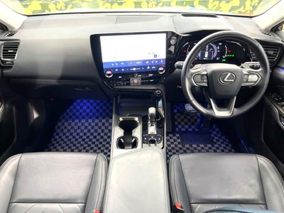 2024 Lexus NX 照片 2