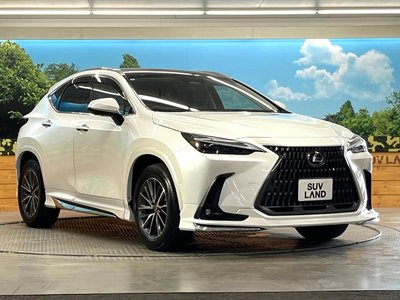 صورة مصغرة 16 لـ 2024 Lexus NX