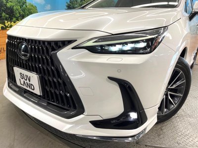 صورة مصغرة 12 لـ 2024 Lexus NX