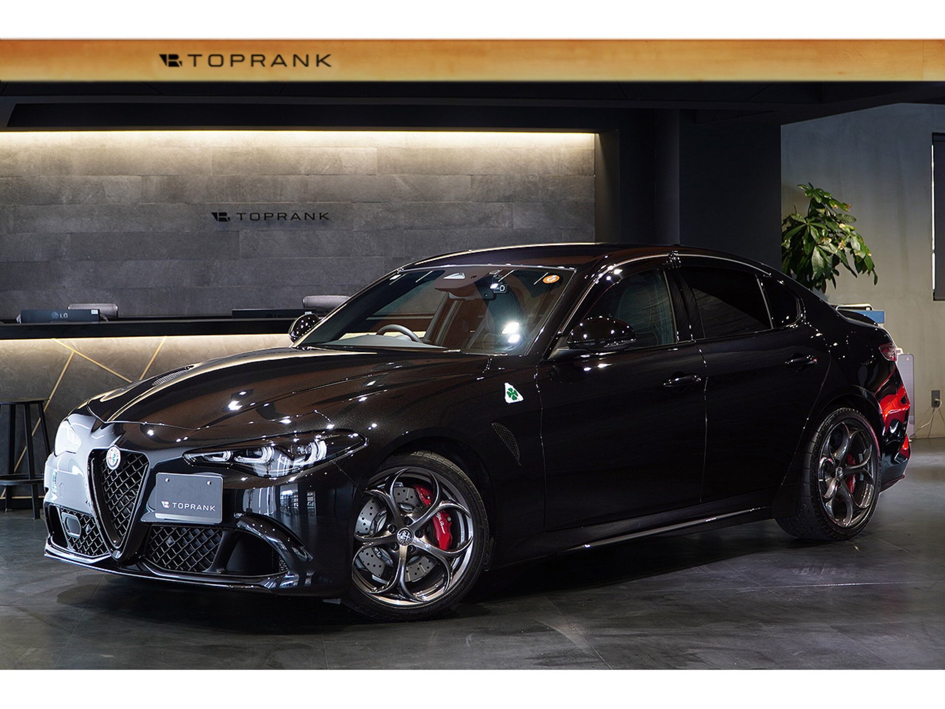 ALFA ROMEO JULIA - View 1