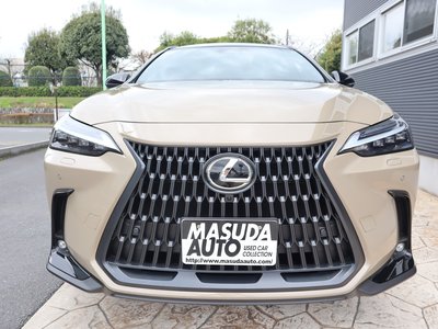 LEXUS NX - 2
