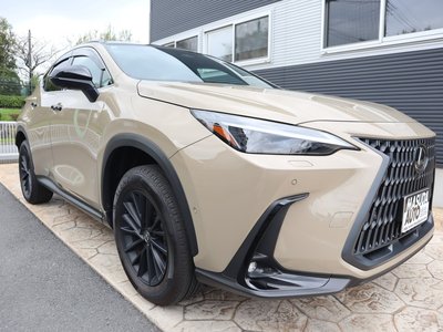LEXUS NX - 3