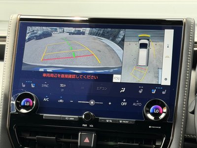 2024 Toyota ALPHARD — миниатюра 14