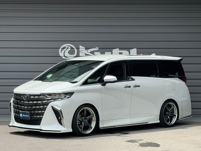 2024 Toyota ALPHARD — миниатюра 17