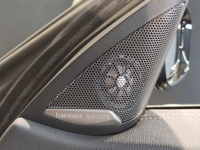 2023 BMW 4 SERIES CABRIOLET 缩略图 48