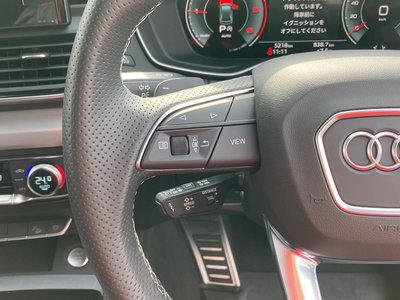 2025 AUDI Q5 SPORTBACK 缩略图 33