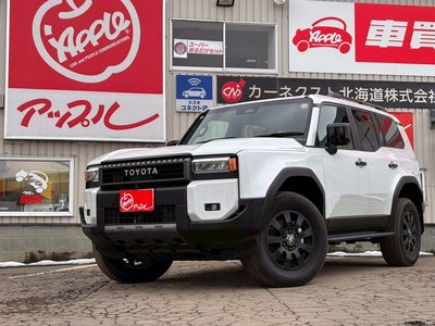 TOYOTA LAND CRUISER 250 - 3