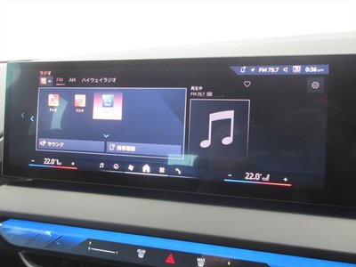 صورة مصغرة 39 لـ 2025 BMW X3