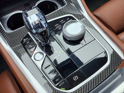 2022 BMW X6 照片 9