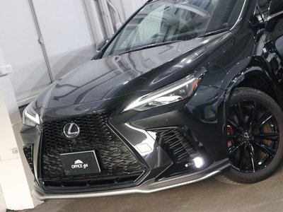 2022 Lexus NX 缩略图 60