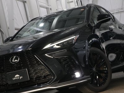2022 Lexus NX 缩略图 65
