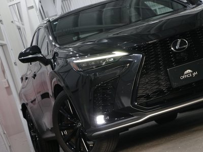 2022 Lexus NX 缩略图 66