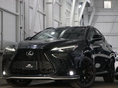 2022 Lexus NX 缩略图 69