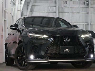 2022 Lexus NX 缩略图 70