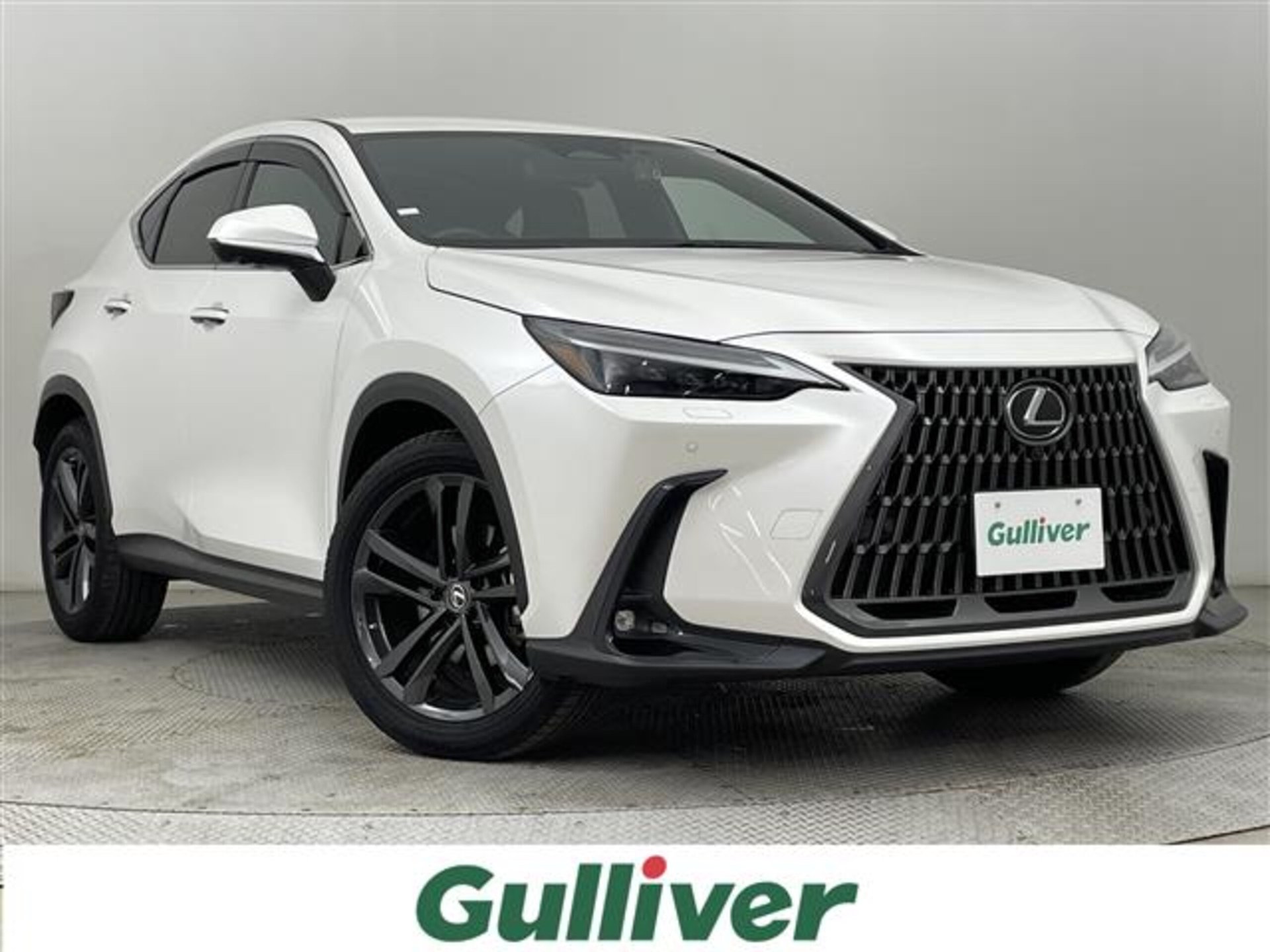 LEXUS NX - View 1