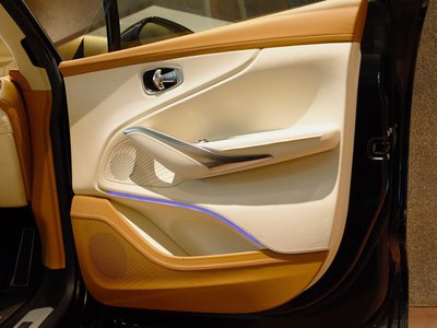 صورة 16 لـ 2021 Aston Martin DBX