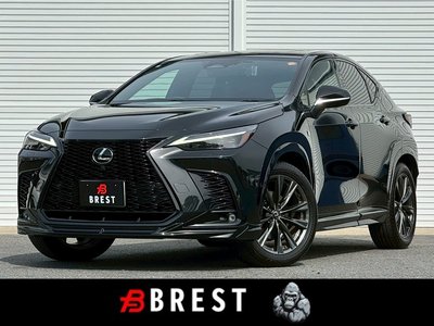 LEXUS NX - 1