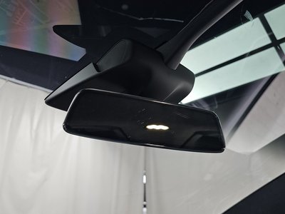 2020 Tesla MODEL X thumbnail 31