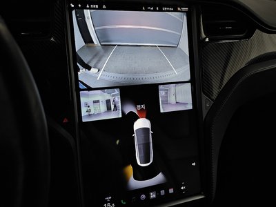2020 Tesla MODEL X thumbnail 20