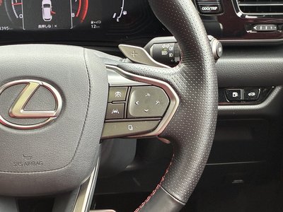 2024 Lexus NX — миниатюра 28
