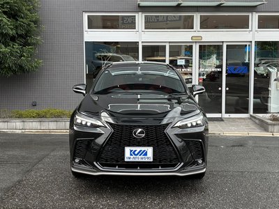 2024 Lexus NX — миниатюра 6