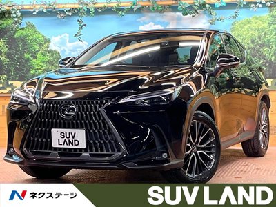 LEXUS NX - 1