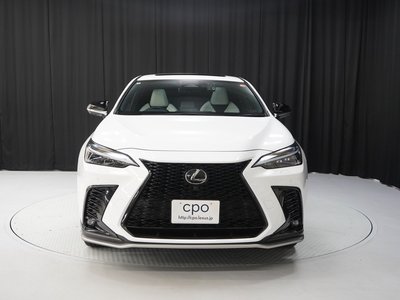 صورة 7 لـ 2023 Lexus NX