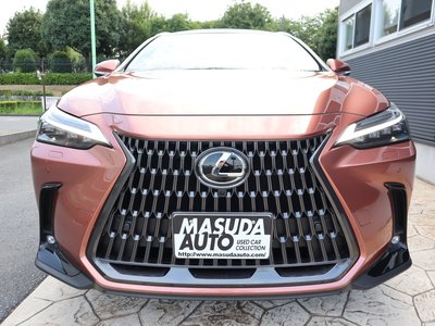 2025 Lexus NX 照片 2