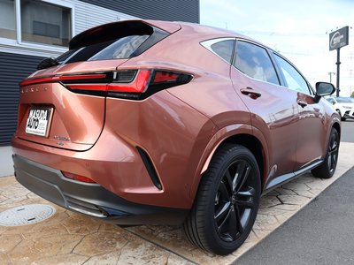 2025 Lexus NX 照片 7