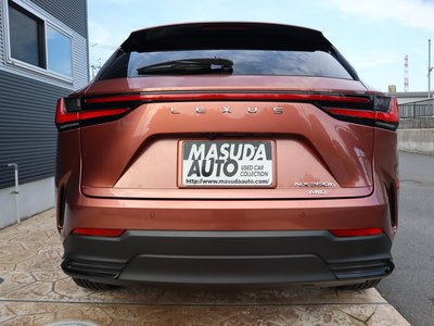 2025 Lexus NX 照片 6