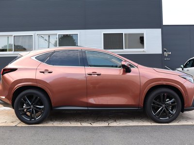 2025 Lexus NX 照片 4