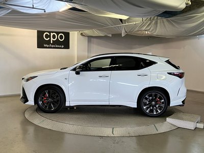 2024 Lexus NX 照片 9