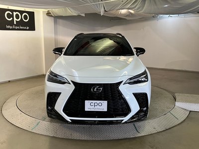 2024 Lexus NX 照片 8