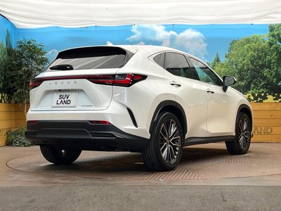 2023 Lexus NX photo 17