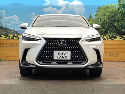 2023 Lexus NX photo 14
