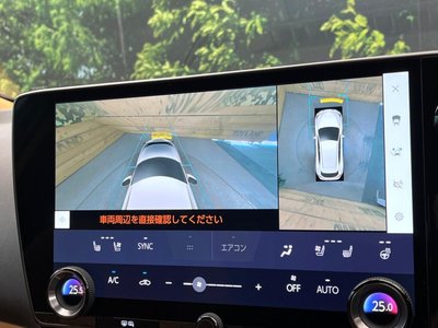 2023 Lexus NX photo 62