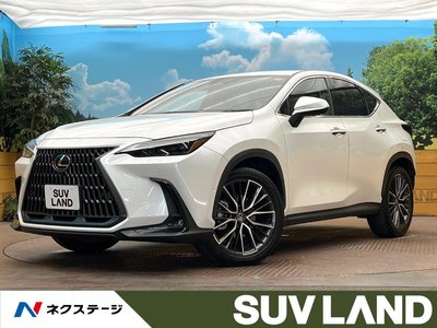 2023 Lexus NX photo 1