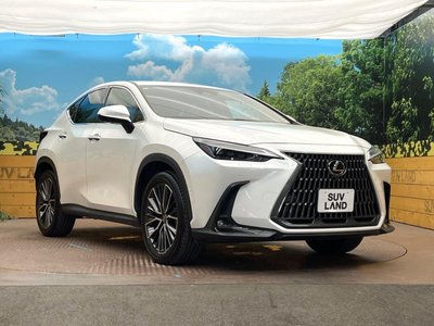 2023 Lexus NX photo 16
