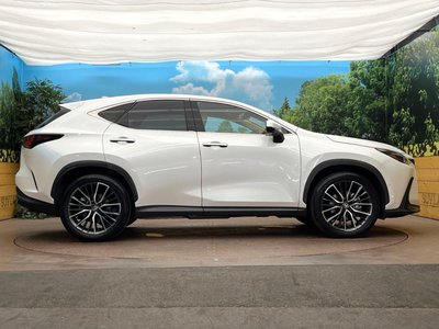2023 Lexus NX photo 31